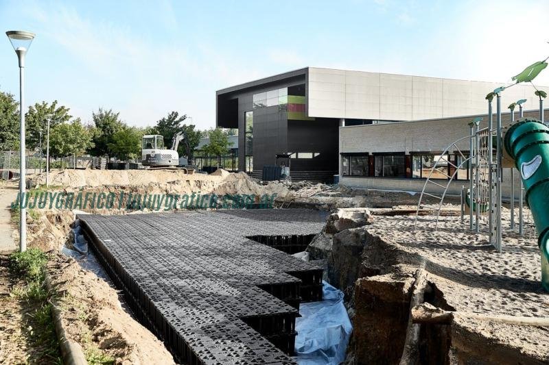 Biodiversidad La importancia de la biodiversidad urbana y cómo conservarla2 Biodiversidad La importancia de la biodiversidad urbana y cómo conservarla2